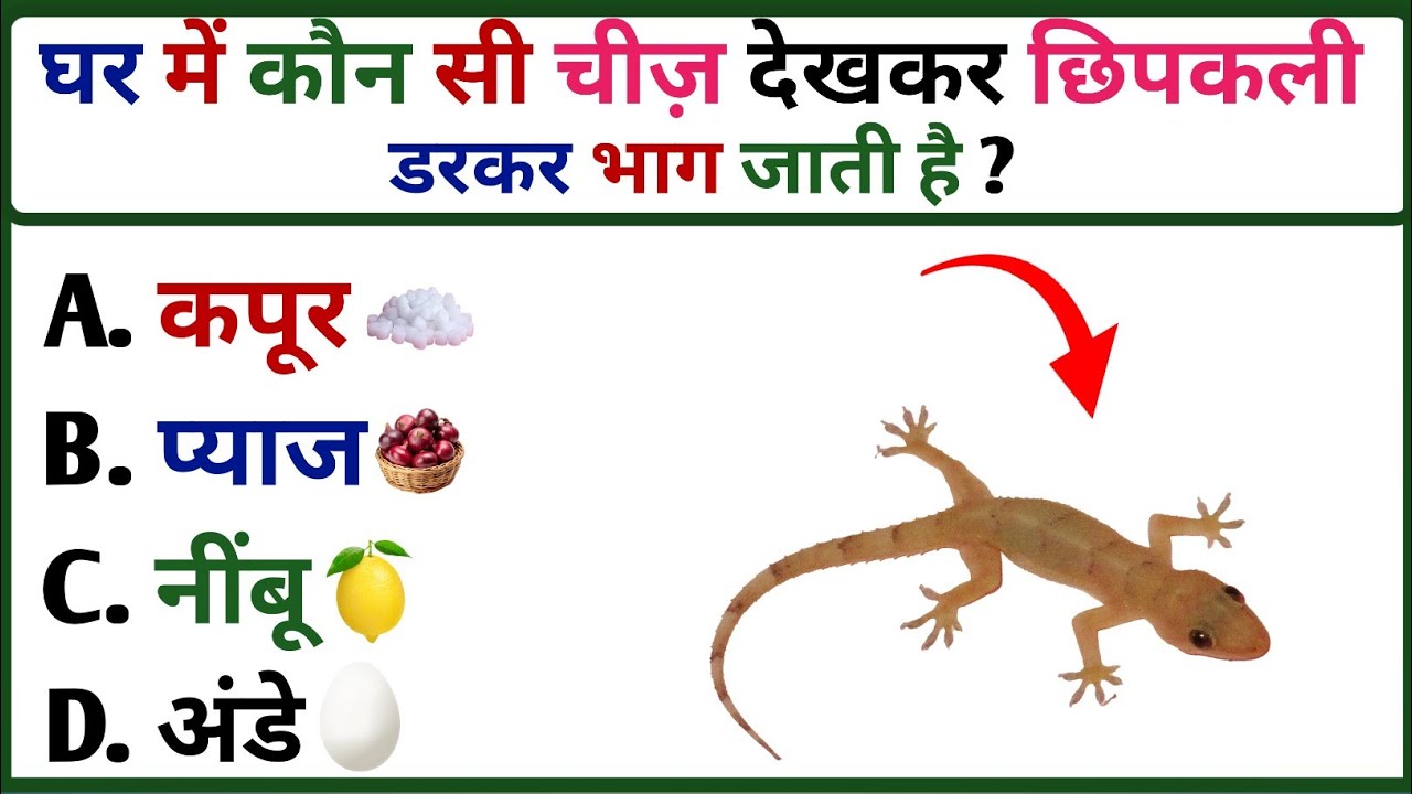 GK Question || GK In Hindi || GK Question Answer ||  GK Quiz || GK Hindi Gyan | 