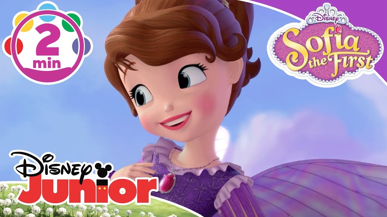 Sofia The First | The Fairy Way Music Video 🎶 | Disney Kids