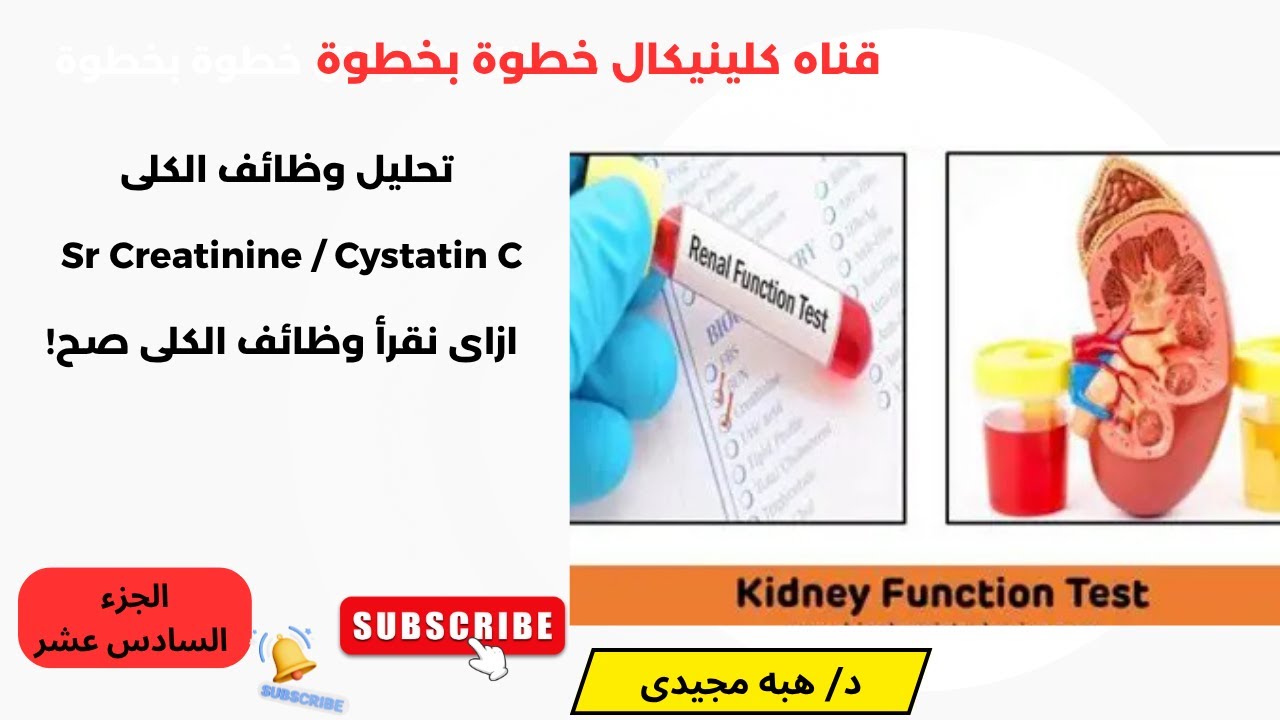 الجزء 16  Kidney Function Tests / SrCr vs Cystatin C  ازاى نقرأ تحليل وظائف الكلى صح  وأهم التريكات