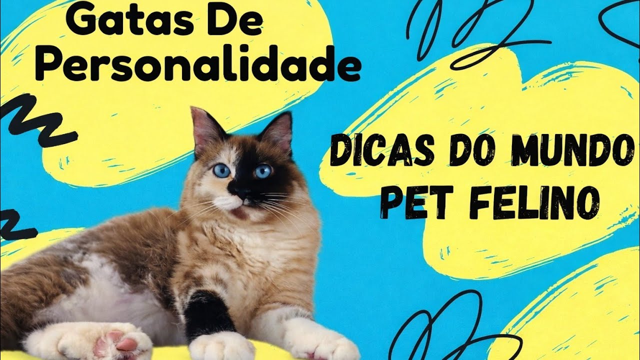 8 de fevereiro de 2026