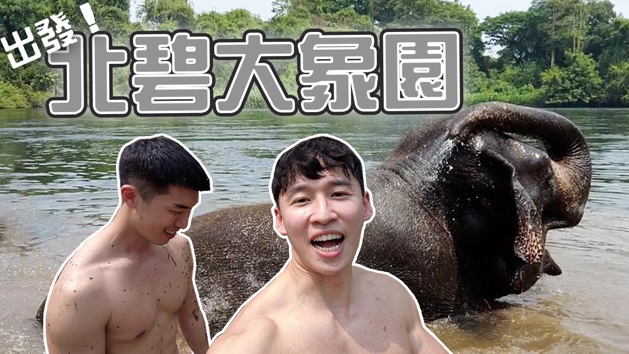 過度觀光？過度清潔？我們所見的Elephants World 北碧象園│#PatrickFit