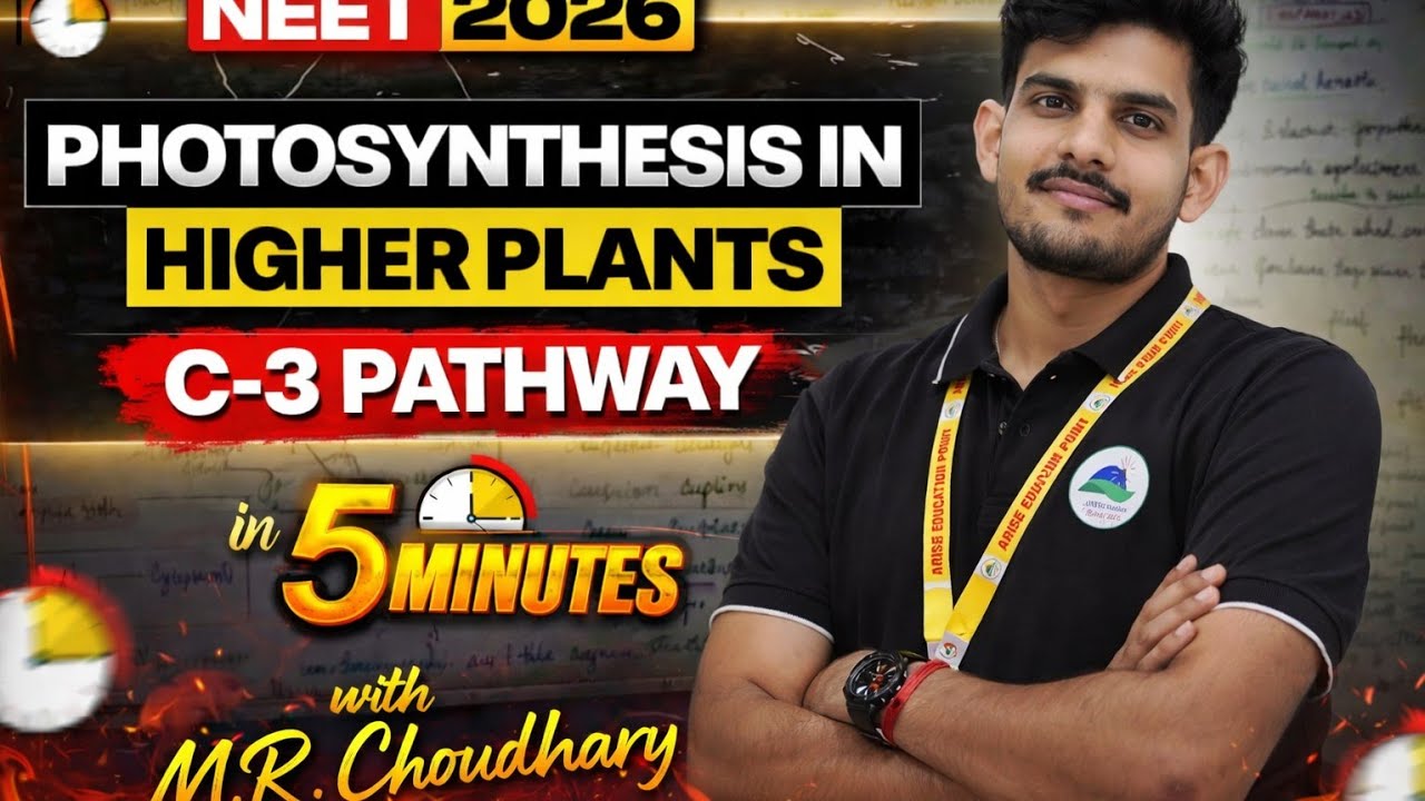 C3 cycle ( Calvin cycle ) in photosynthesis in higher plants 
