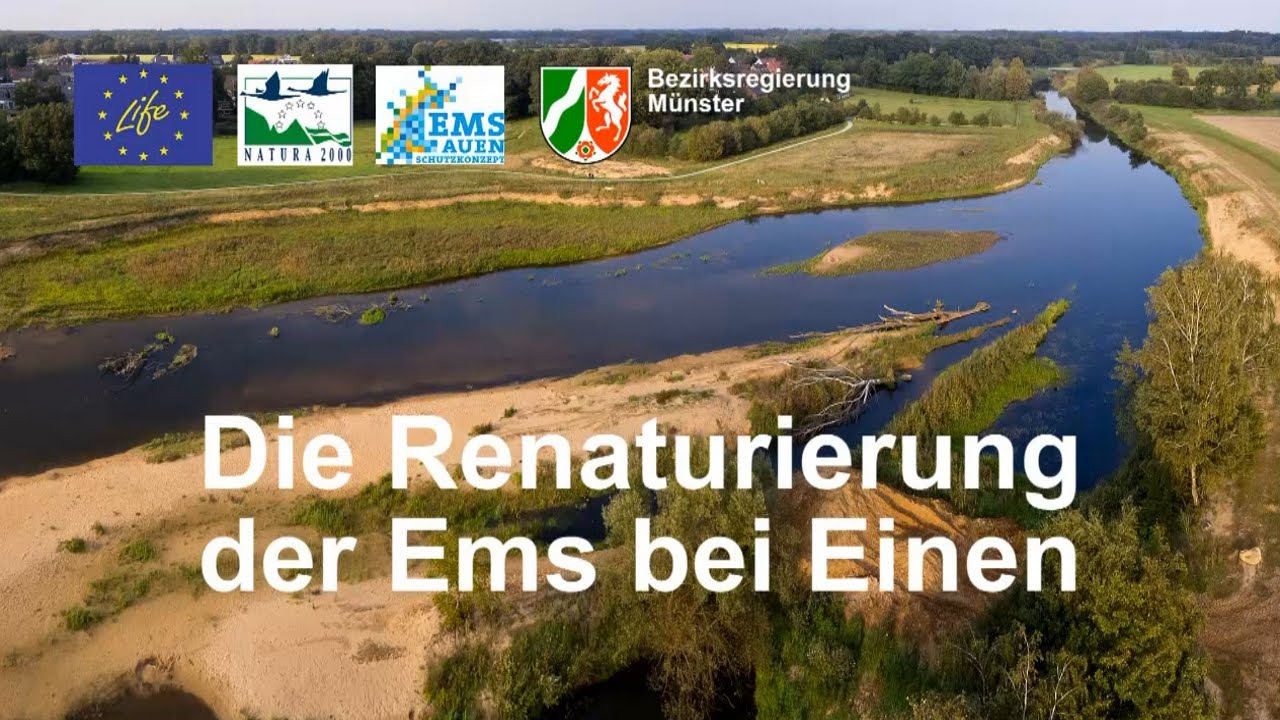Die Renaturierung der Ems bei Einen aus der Luft