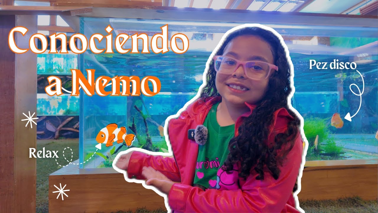 Visitando el Acuario🐬🐋🐳  , mas grande del Perú. acuarionautilus
