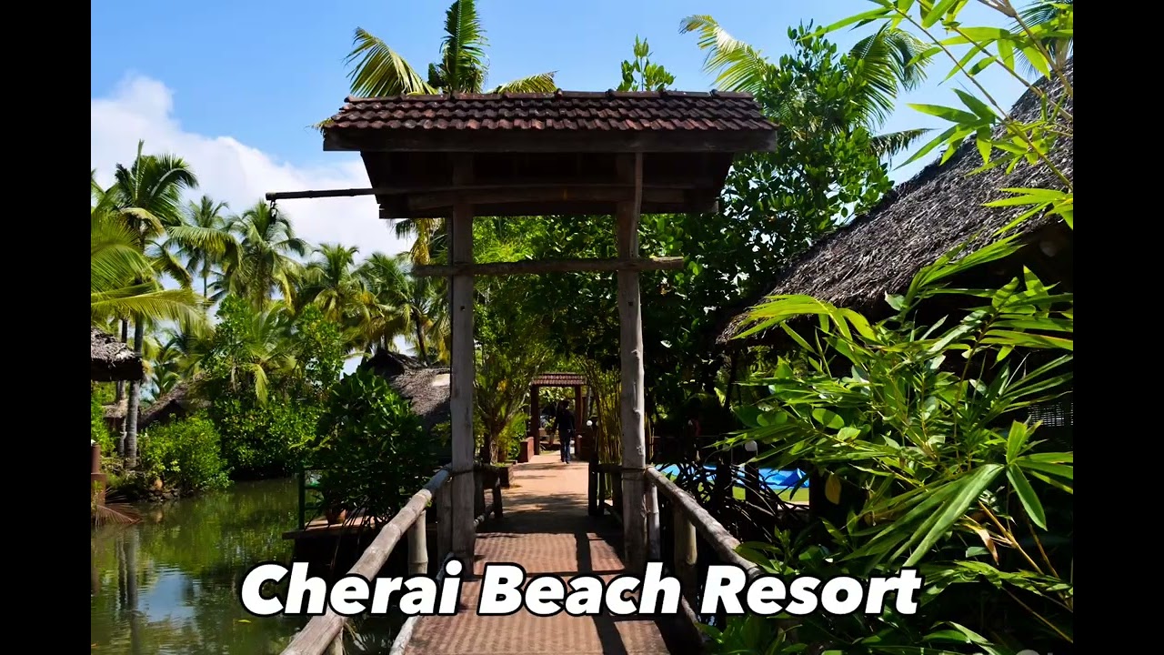 Beautiful Cherai beach resort #resortlife #vacationvibes 