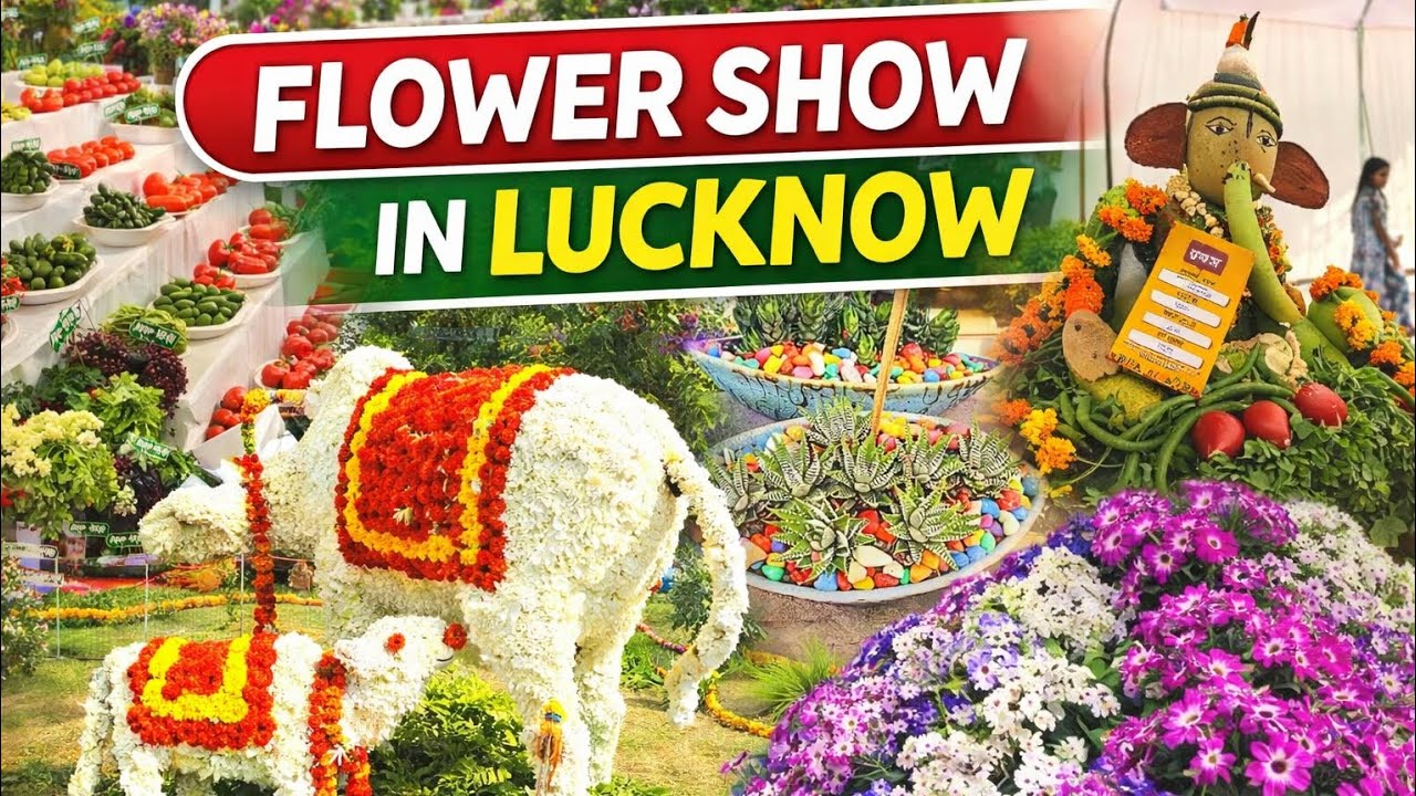 Flowers SHOW IN LUCKNOW 🌹🌸🥀💐🌼🌺🌷👡🌼💐🌹🥀🌸#travel #tranding #shortvideo #youtuber #youtube #reels 