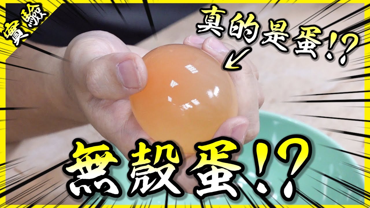 無殼蛋！熔岩燈！白板筆魚！三個簡單又神奇的小實驗！【胡思亂搞】