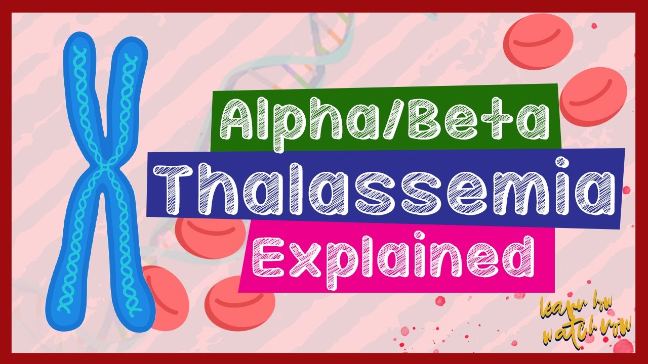 Альфа-талассемия | Бета-талассемия | Объяснение талассемии