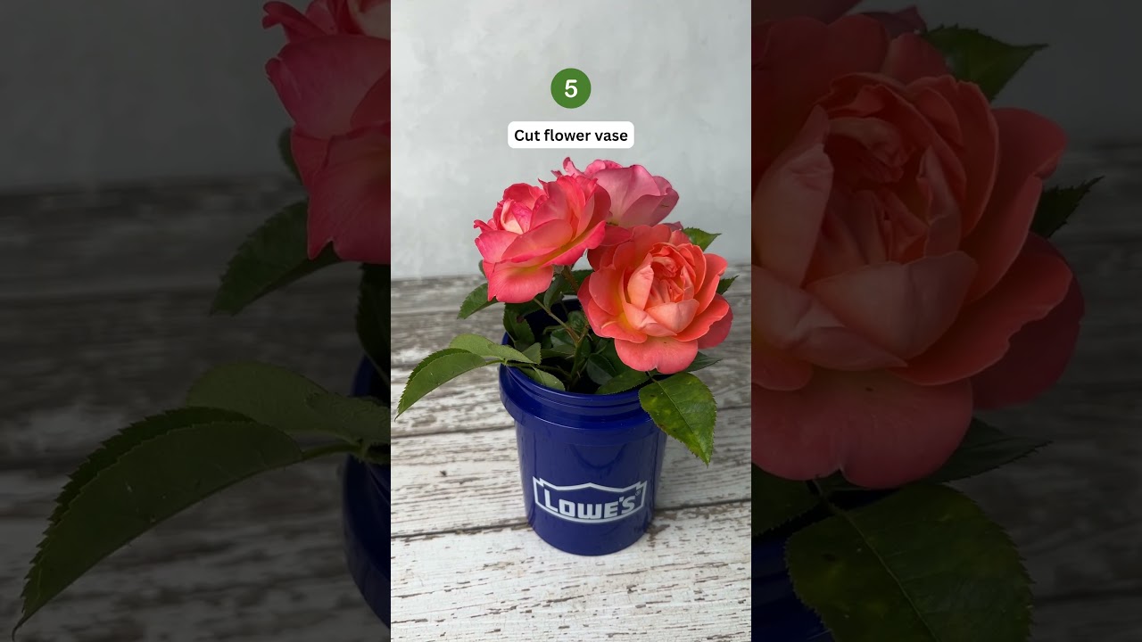 8 Genius Uses for the Viral Lowe's Mini Bucket