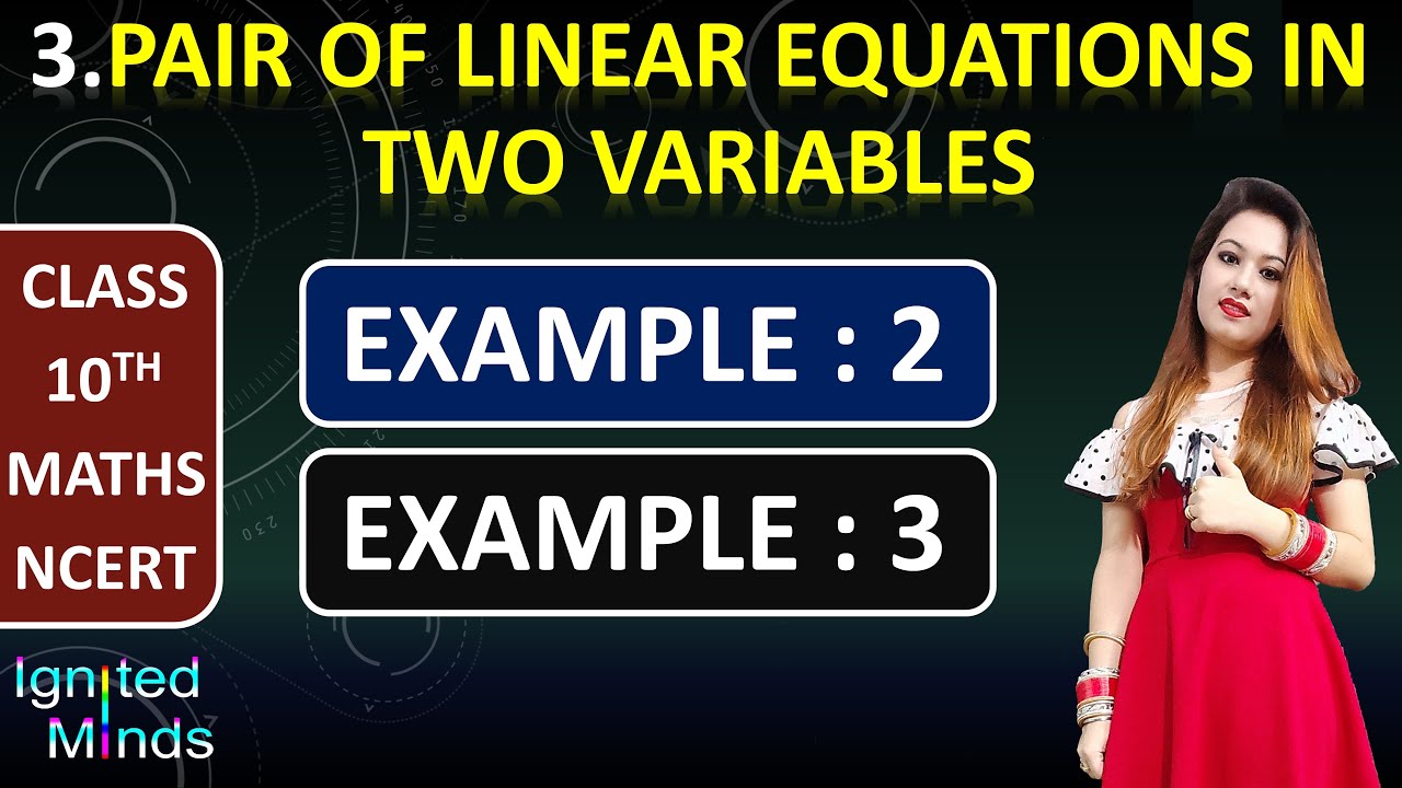 Example 2 & Example 3 | Linear Equations | Chapter 3 | Class 10th Maths