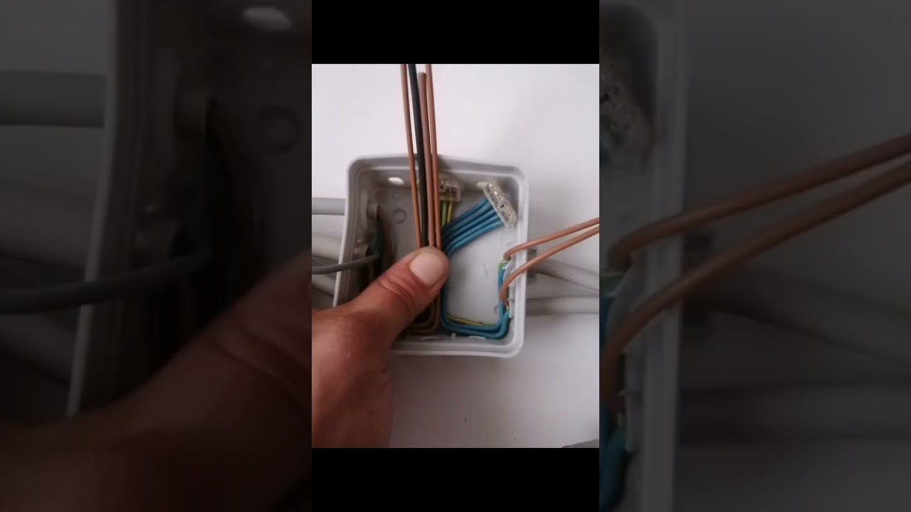 Elektrische dose verdrahten