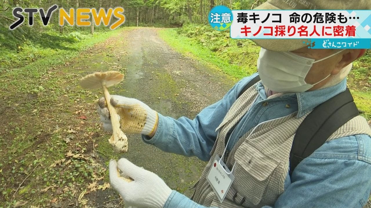 【キノコ採り名人に密着】命の危険も&hellip;　毒キノコに注意！