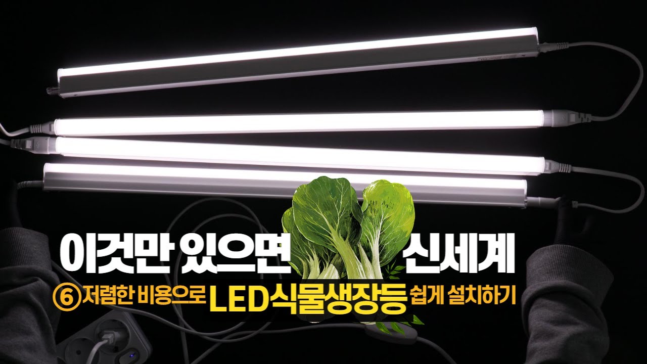 가성비 좋은 T5로 led 식물등 만들기_이제 실내에서도 튼튼한 채소 키우세요 with CLOVA Dubbing