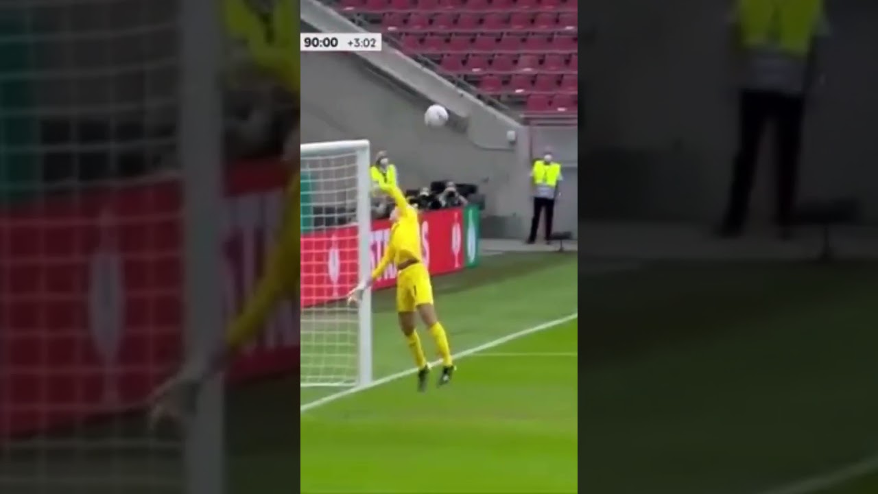 Merle Frohms is the best goalkeeper #germany