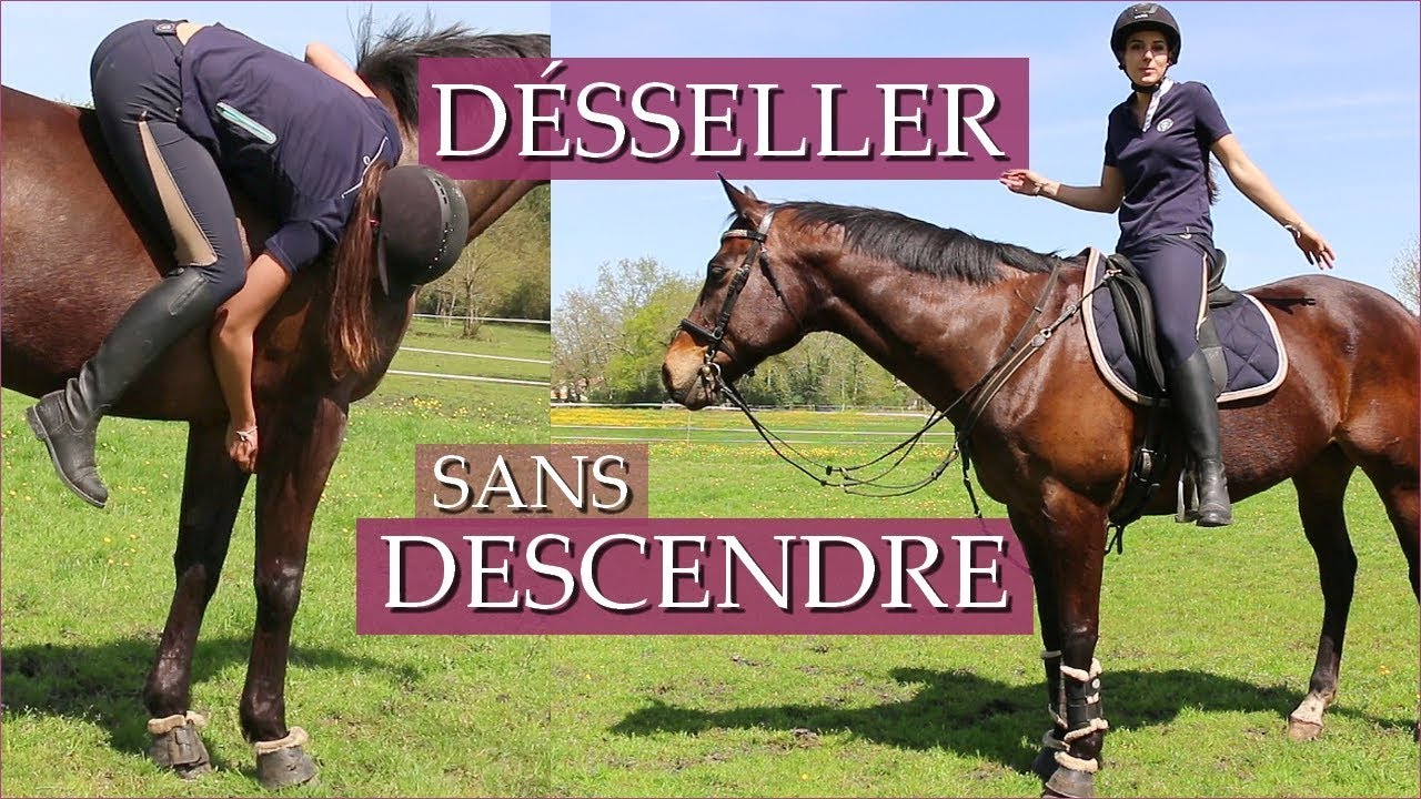 DESSELLER SANS DESCENDRE DE CHEVAL !! - Challenge 80 000