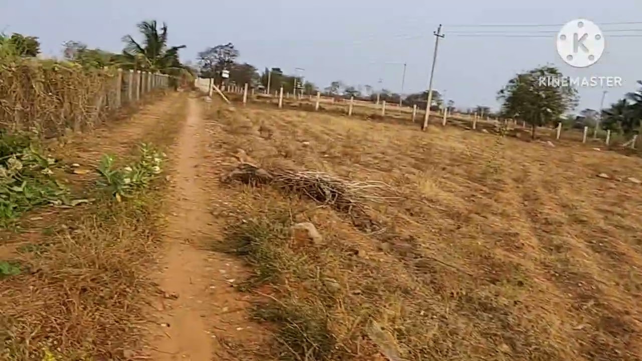 (PK 167) 4 acre 96 cents FARM LAND IN HANUR | udupa 9901323456                                   