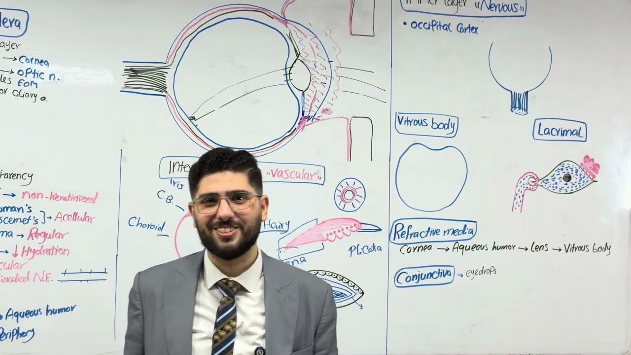 Crash ophthalmology (ch1. Anatomy of the eyeball)