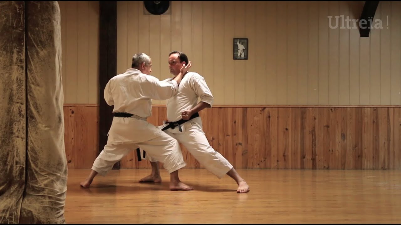 Le Karaté - Rencontre avec Pascal Lecourt et François Lehn - in ULTREÏA #02