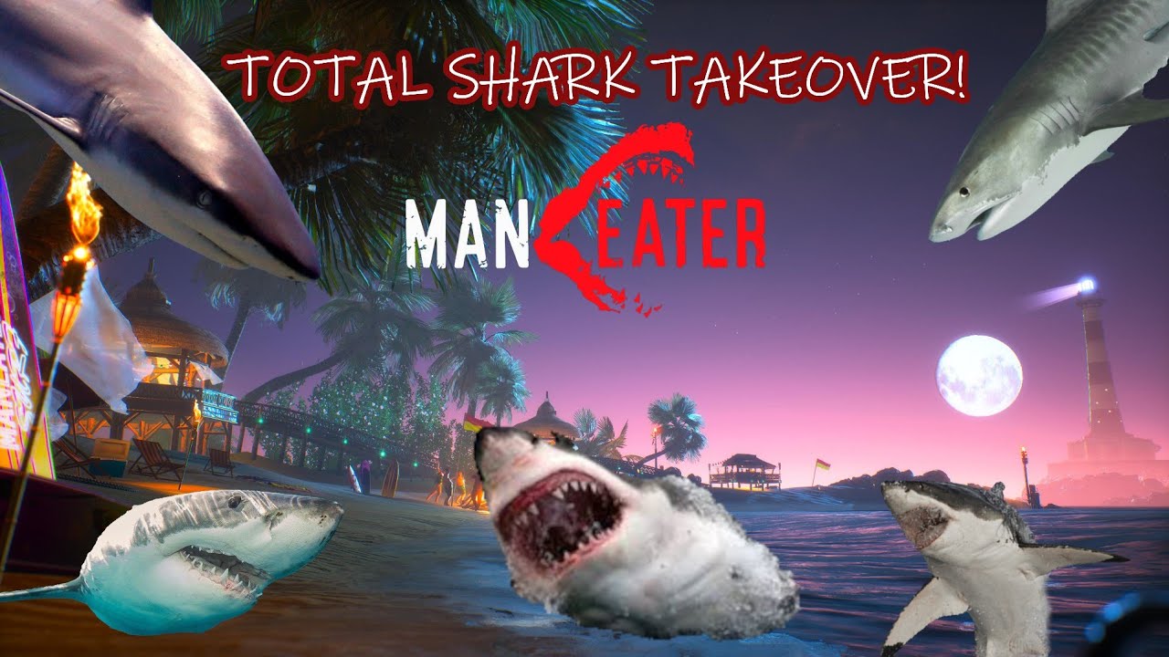 100 FOLLOWER SPECIAL Total Shark Takeover