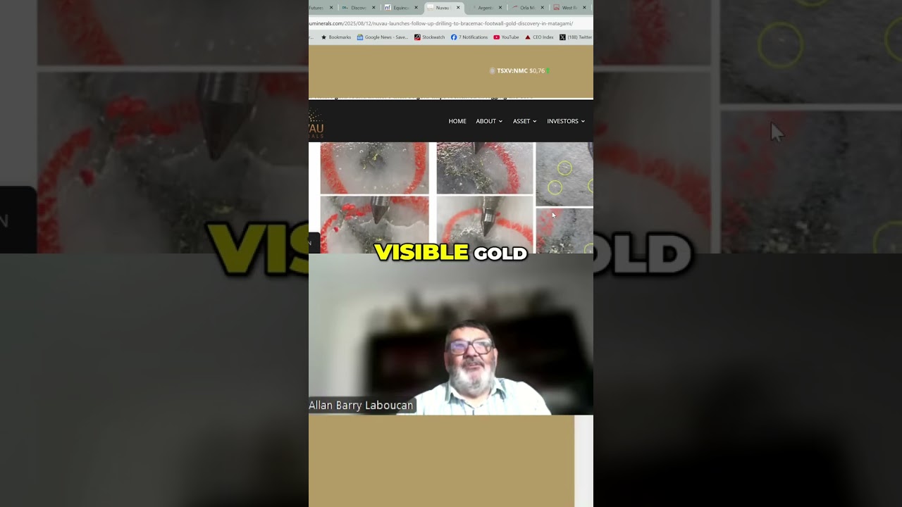Stunning Visible Gold: New Discovery Displayed! #shorts