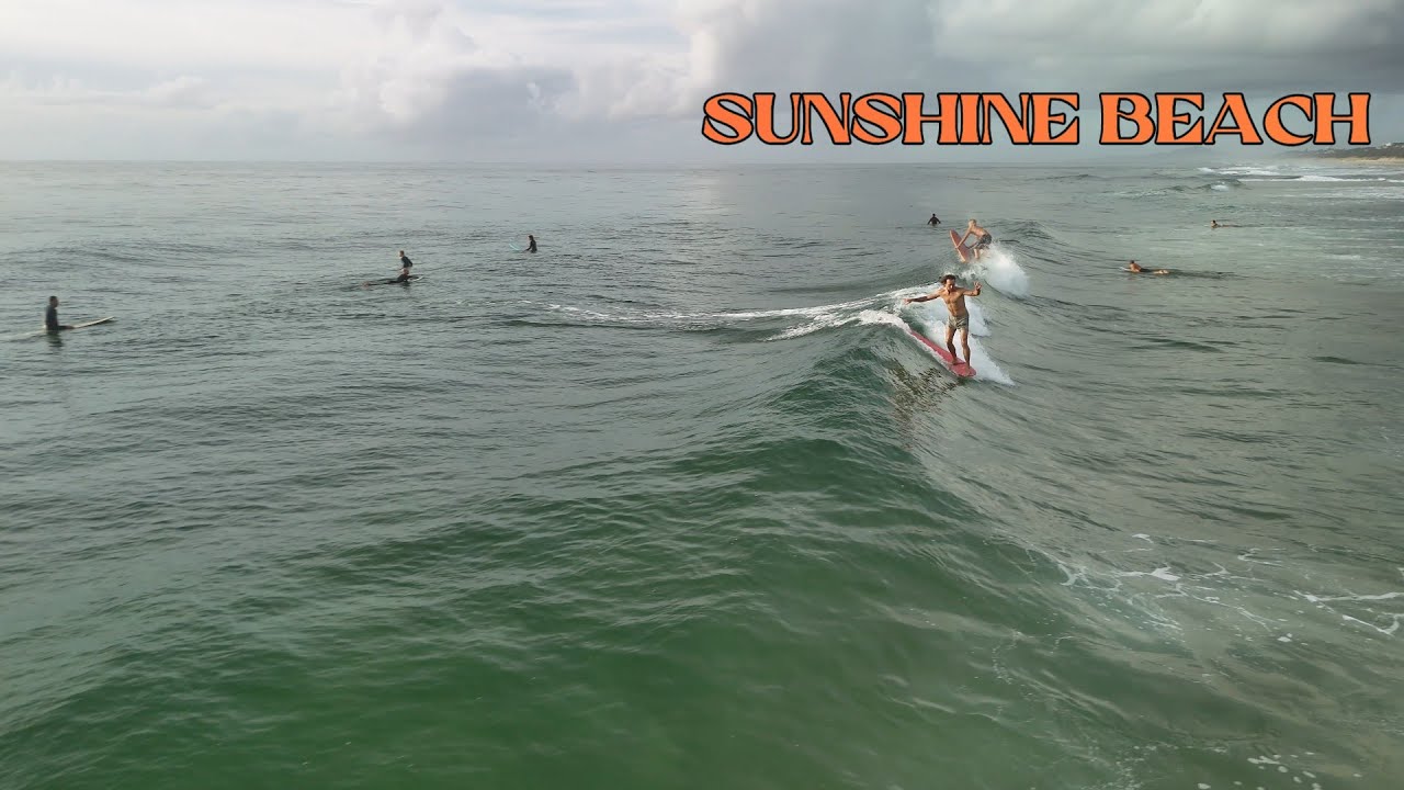Longboarding Sunshine Beach (Noosa)