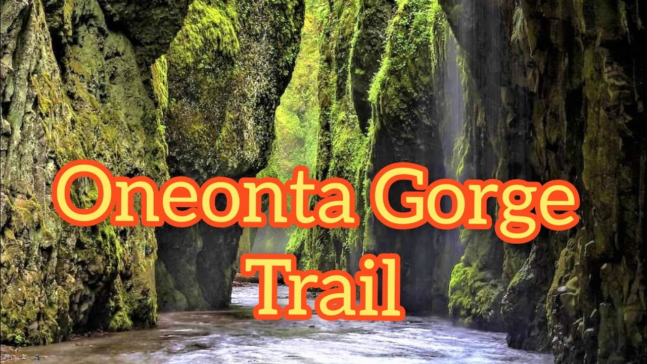 Oneonta  Gorge Trail / Lower Oneonta Falls ( was taken July 17 , 2017 ) Oregon