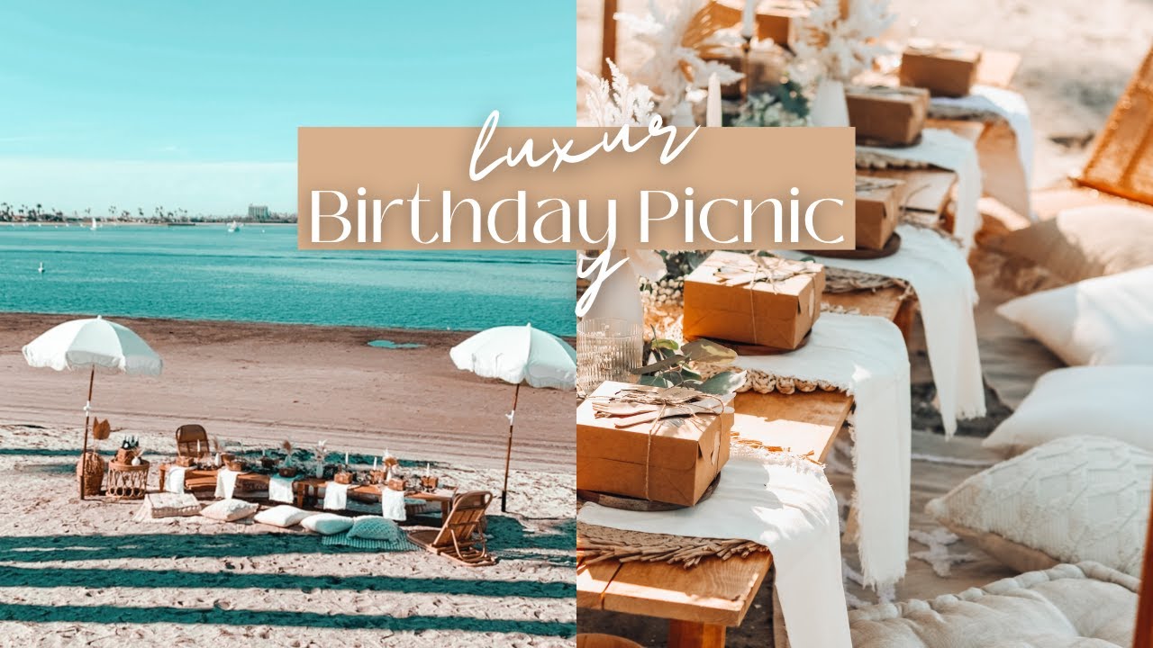 *TEN GUESTS* LUXURY BIRTHDAY PICNIC VLOG | mini decor haul, charcuterie boxes, set-up & clean-up