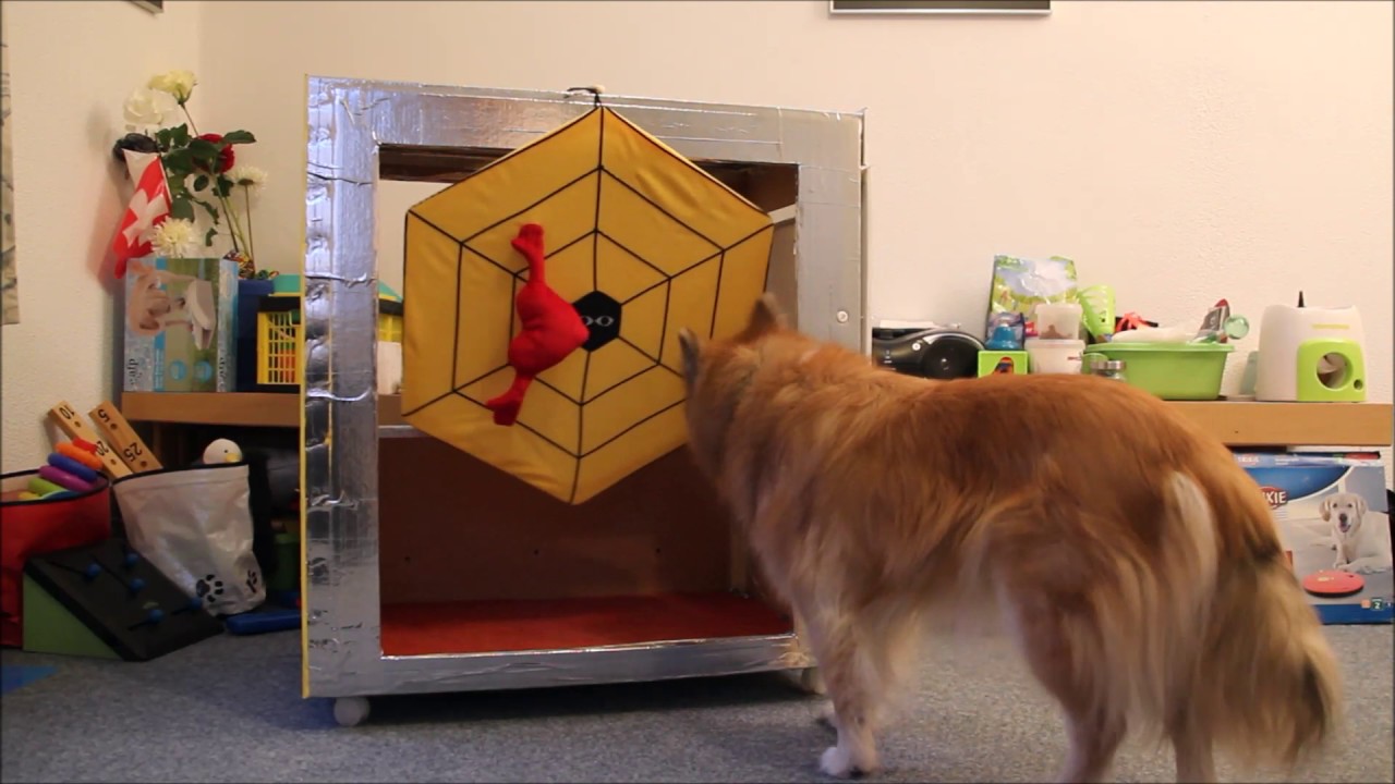 Tricks mit viel Herz