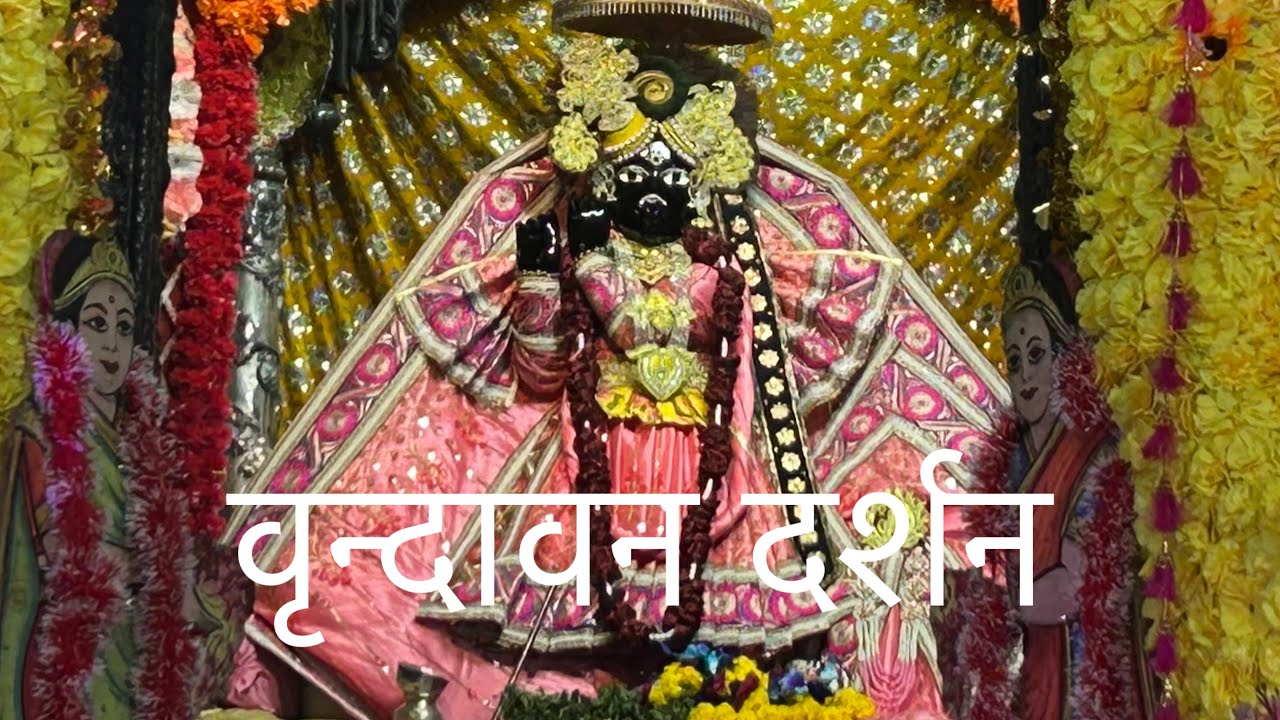 Vrindavan Banke Bihari Ji  वृन्दावन दर्शन 