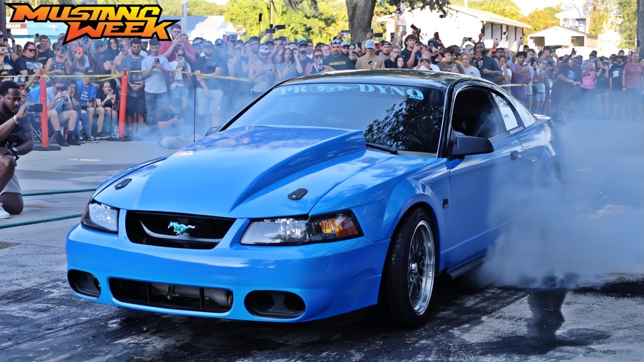 Mustang Week 2024 Burnout Contest Gets Shut Down + Mustangs Cruising Out