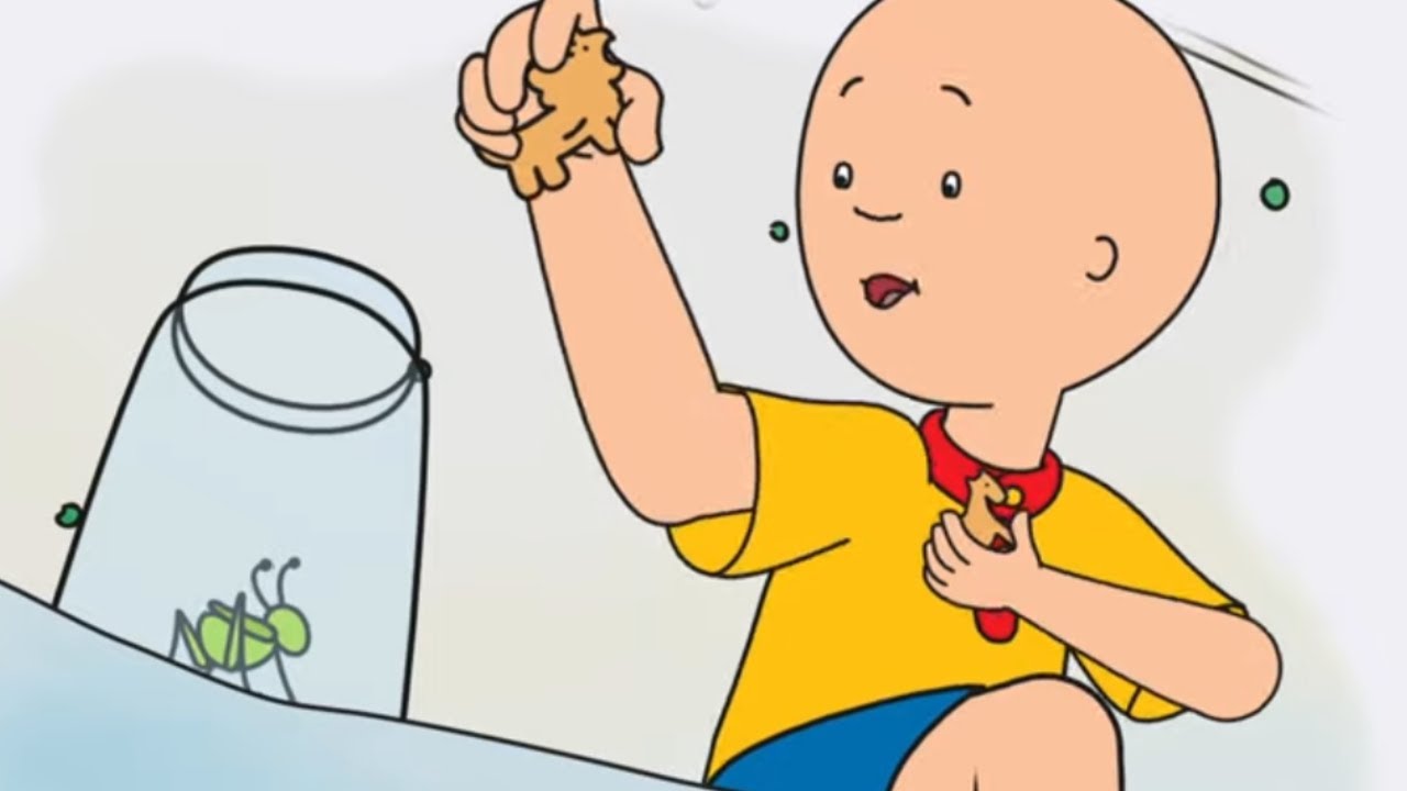 Caillou's huisdier Insect | Caillou Nederlands - WildBrain