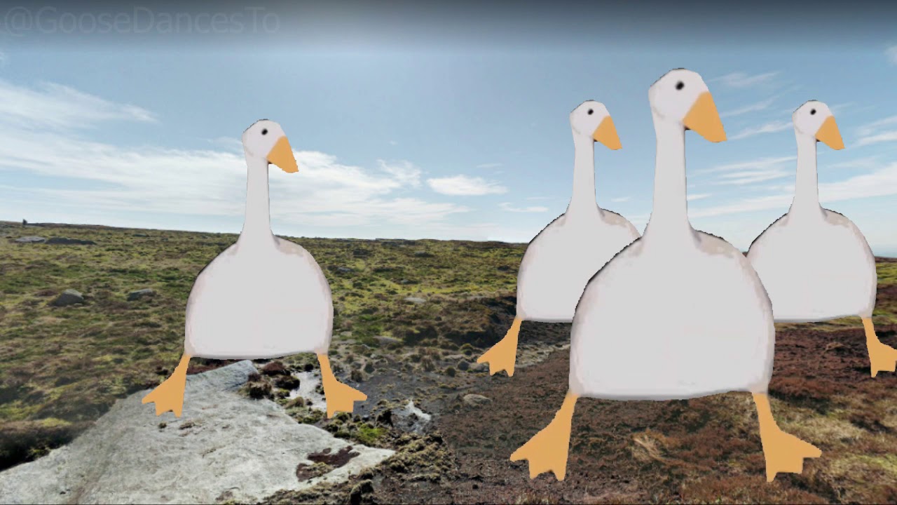 Goose Dances to Lemon Demon - The Next Dimension