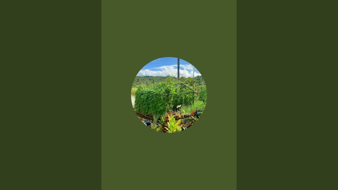 ARIEL MIRA THE PILIPINO FARMER  is live!