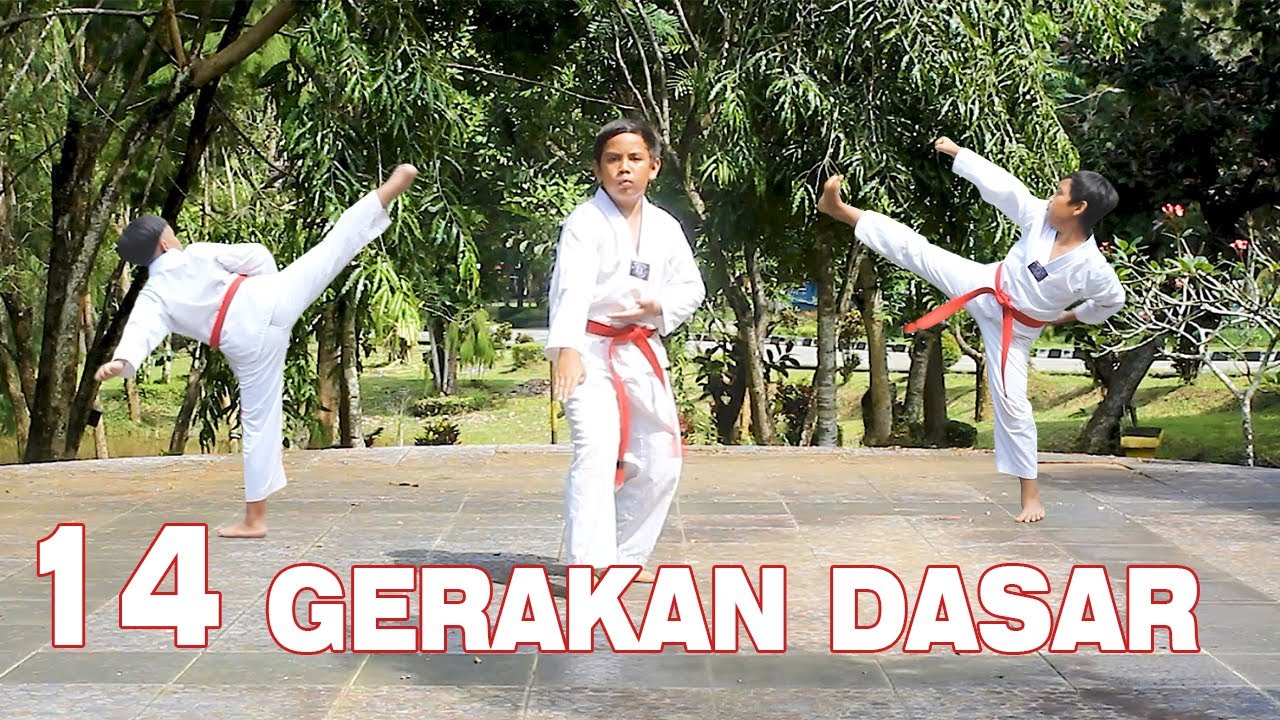 14 GERAKAN DASAR TAEKWONDO (BASIC MOVEMENT) : CARA MUDAH BELAJAR TAEKWONDO