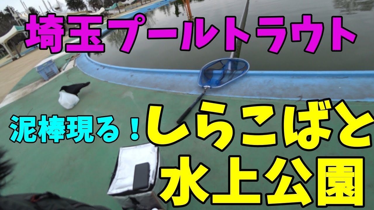 【ゆっくり釣行動画】25/3　しらこばとでプールフィッシング！大物トラウト狙いでまさかの・・・