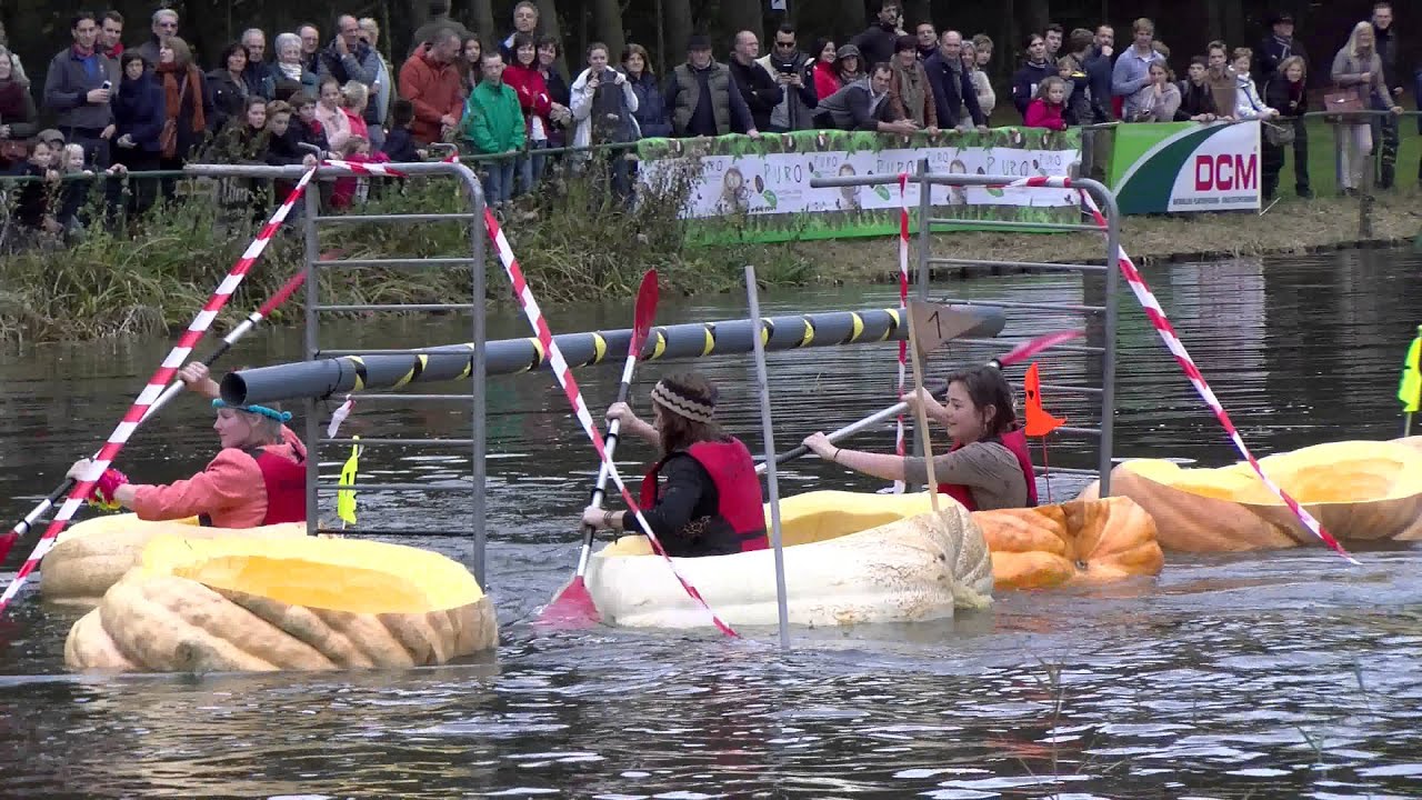 Pompoen-Regatta 2015