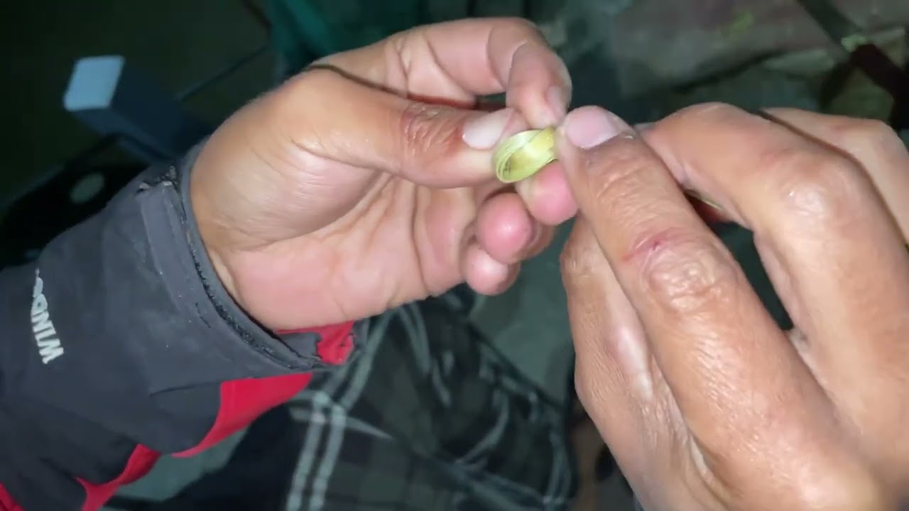 Bunchat (Ringatay) Vlog | hand made Bunchat Ringatey PR46 Vlog