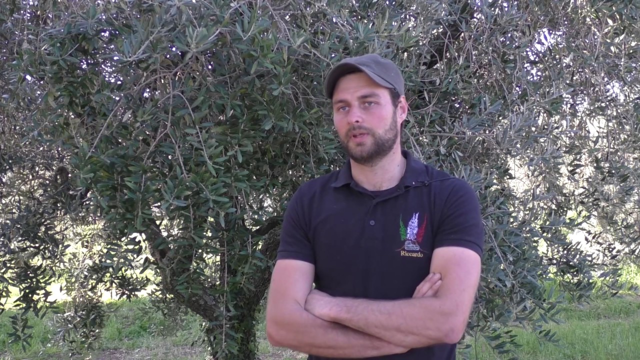 Pruning Champ