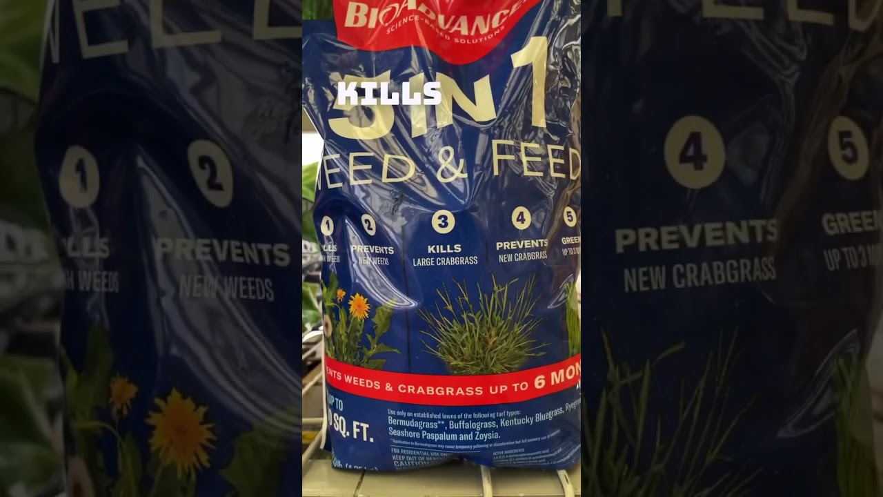Best Weed and Feed for average homeowner.