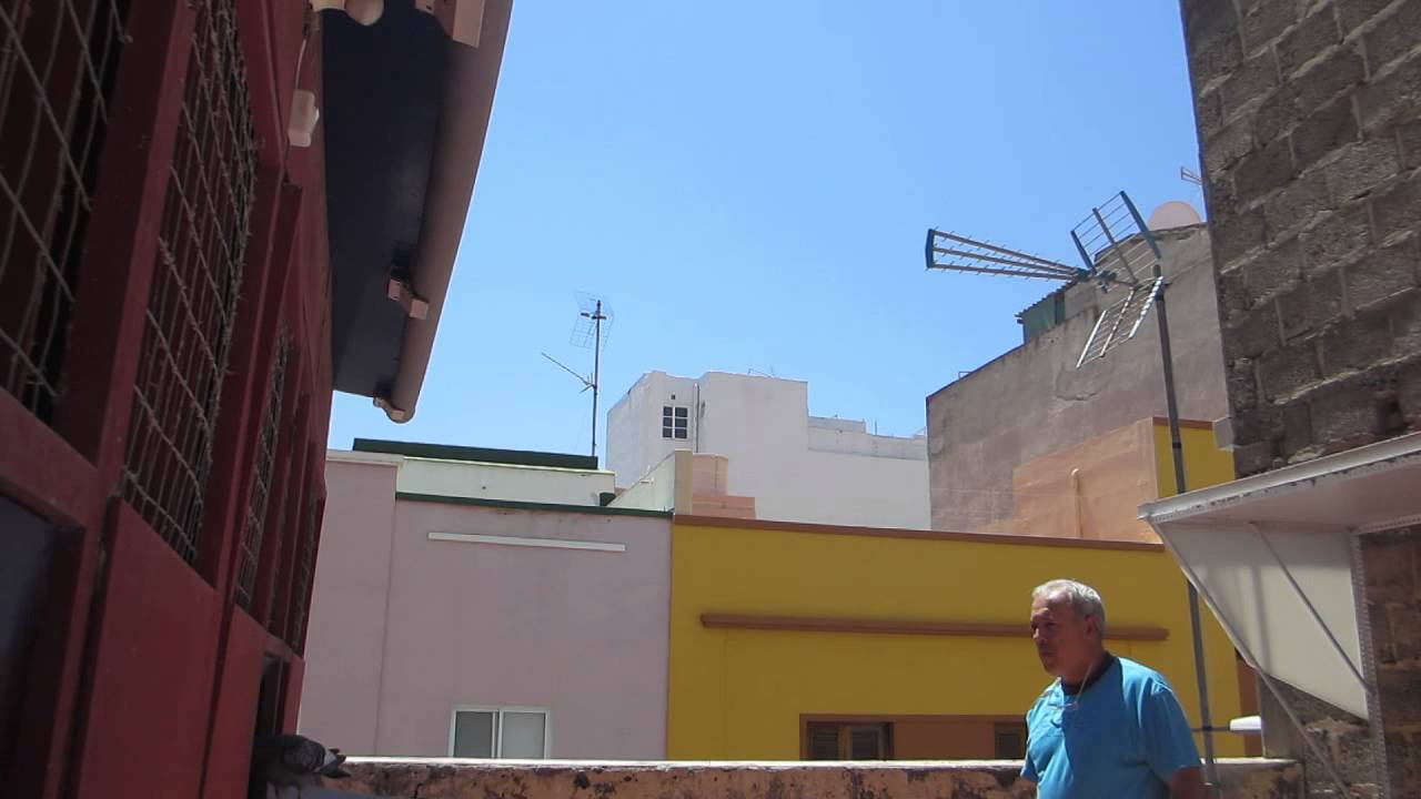 Regreso de palomas desde Lanzarote a S/C de Tenerife 18-05-2014