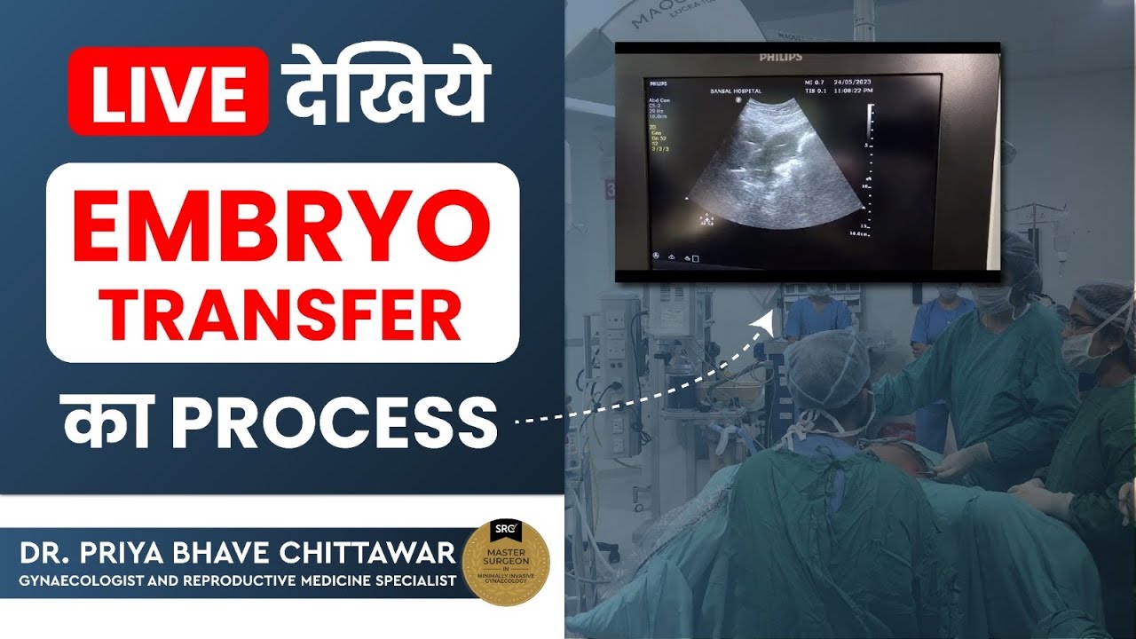 Live देखिए Embryo ट्रांसफ़र का Process By Dr Priya Bhave Chittawar