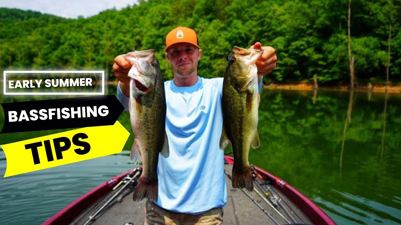 Bass-fishing Norris Lake late May.