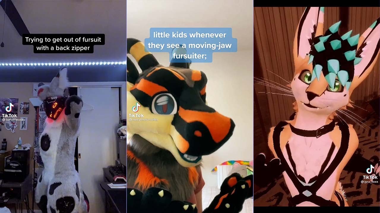 Furry TikToks I Watch On Valentines Day