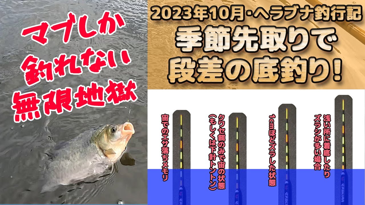 【段底の基礎も解説！】マブナの荒食いだったけどチャント段差の底釣りできました！2023年10月下旬（第4週）新潟県加茂市・下条川ダム【ヘラブナ釣行記】