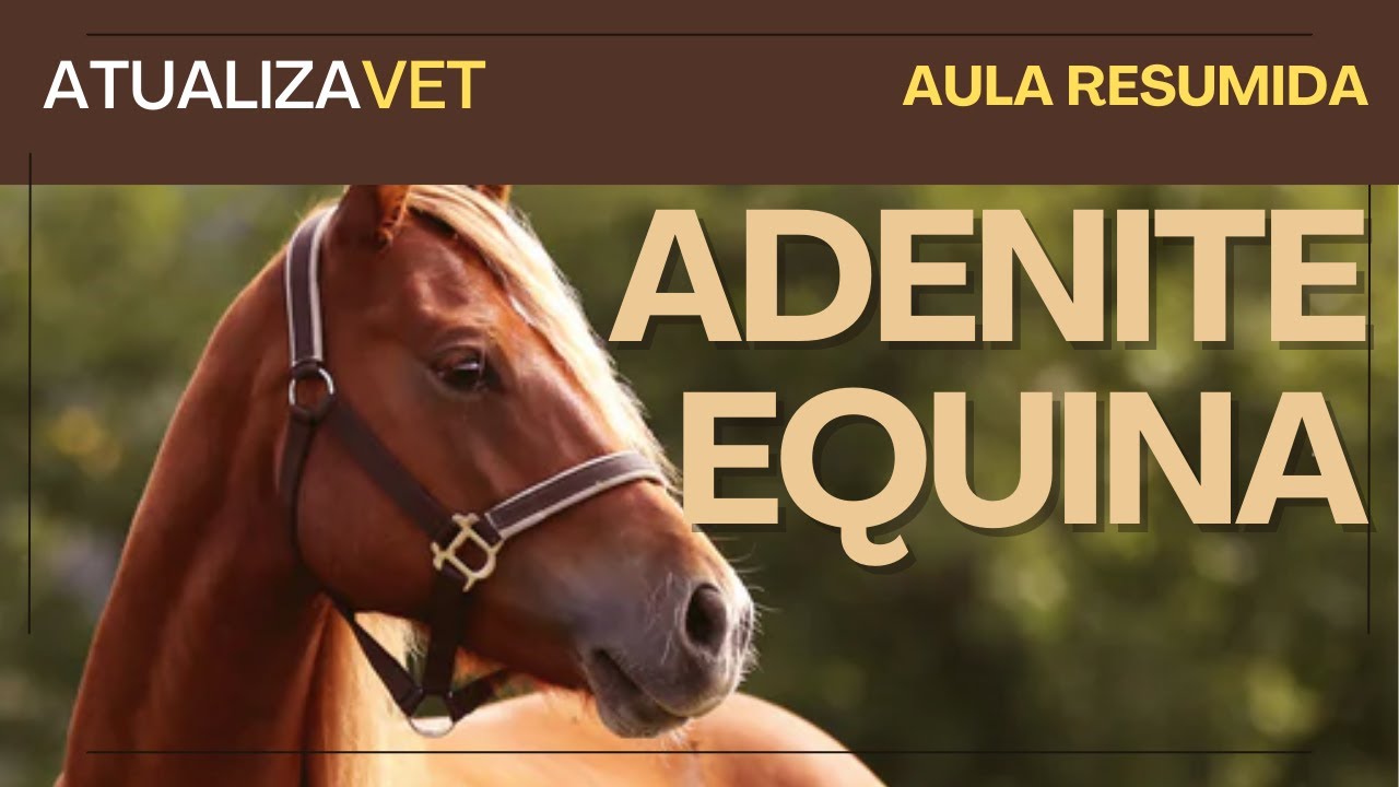 Adenite Equina - AtualizaVet