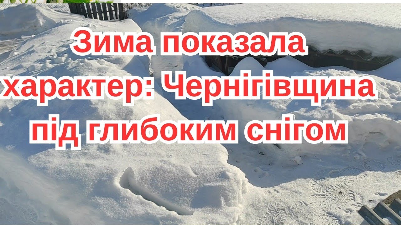 СНІГ по КОЛІНА і  МОРОЗ  до - 32: такої ЗИМИ давно не було❄️❄️❄️ #мороз  #сніг