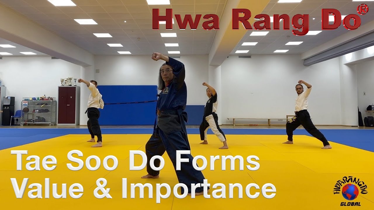 HWARANGDO Online Global University (HOGU): Tae Soo Do® Forms - Stance, Value & Importance