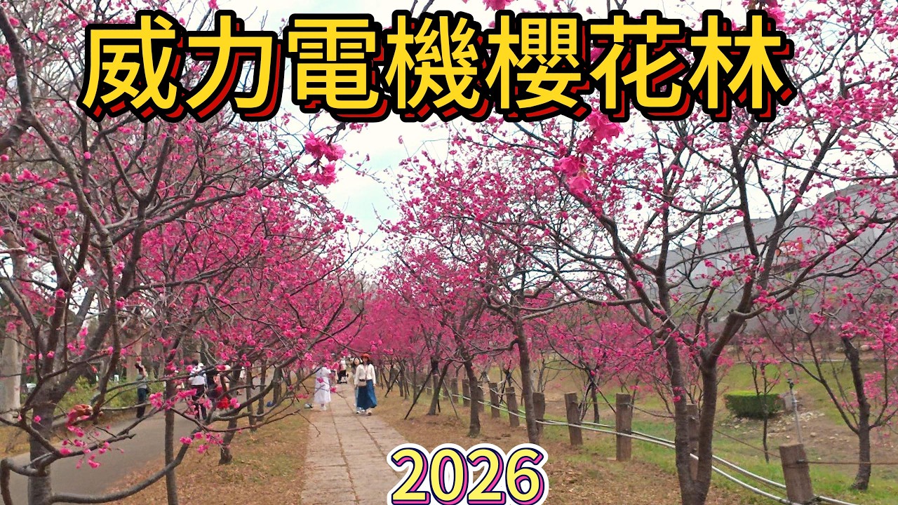 3月2日威力電機櫻花園區