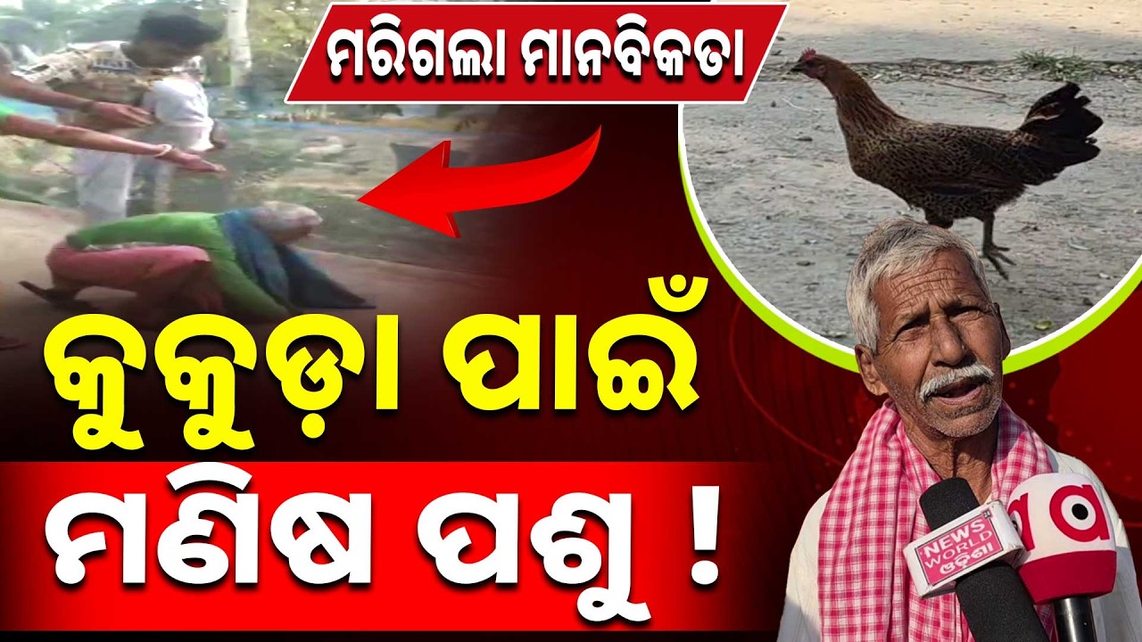 ମରିଗଲା ମାନବିକତା, କୁକୁଡ଼ା ପାଇଁ ମଣିଷ ପଶୁ ! | Family Dispute | Kendrapara | Argus News