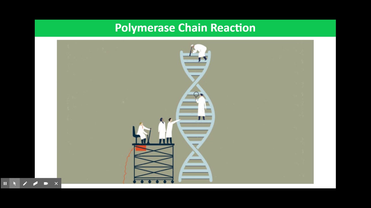 Applications of PCR